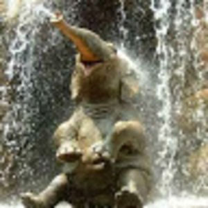 Meet your Posher, Anabel